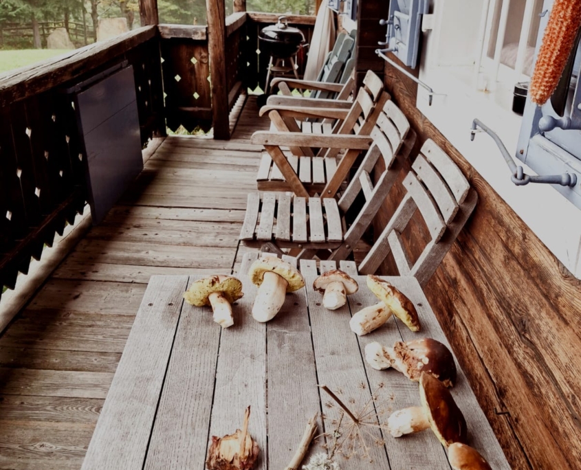 Therapiealm Pop Up_Glashütten